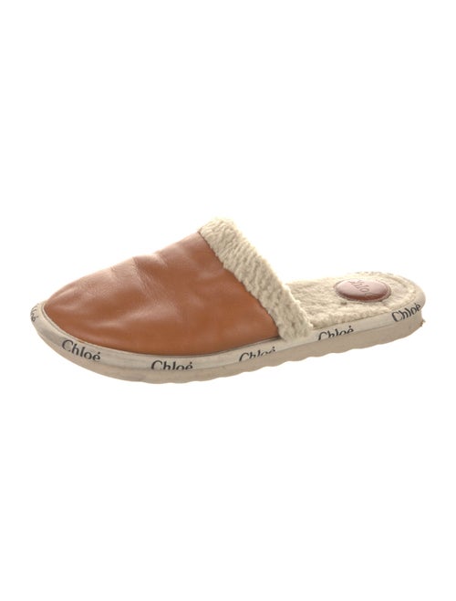 Chloé Leather Printed Espadrilles