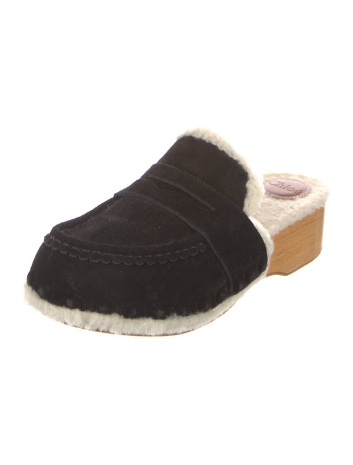Chloé Suede Mules