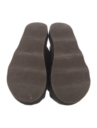 Chloé Wool Mules