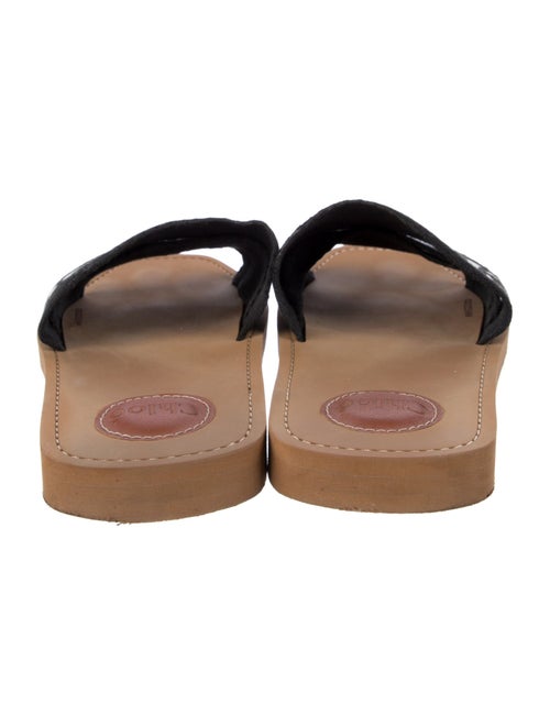 Chloé Canvas Graphic Print Slides