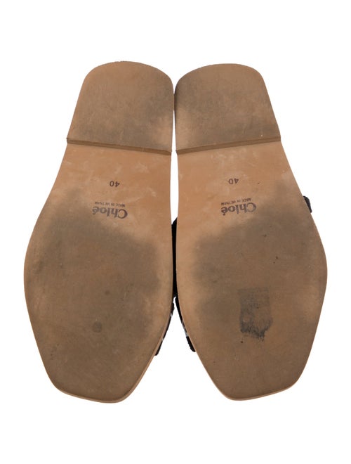 Chloé Canvas Graphic Print Slides