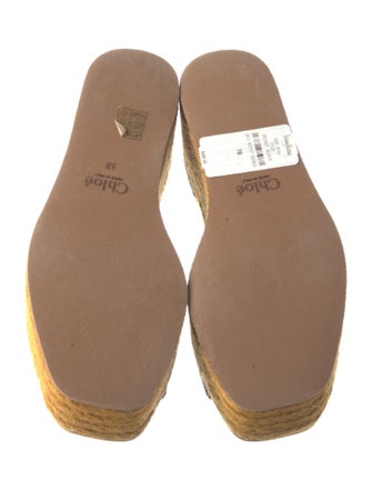 Chloé Jute Printed Espadrilles