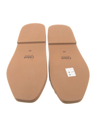 Chloé Canvas Graphic Print Slides