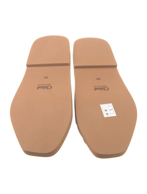 Chloé Canvas Graphic Print Slides