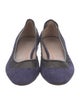 Chloé Suede Mesh Accents Ballet Flats