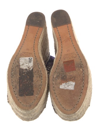 Chloé Printed Espadrilles