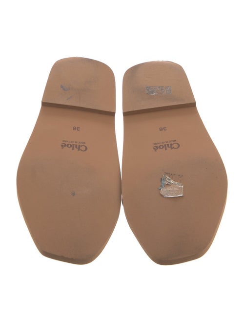 Chloé Printed Slides