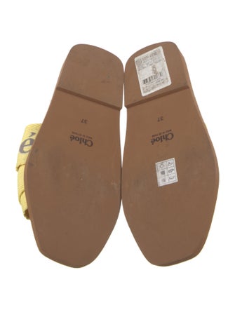 Chloé Printed Slides