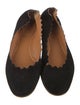 Chloé Suede Scalloped Accent Ballet Flats