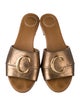 Chloé Slides