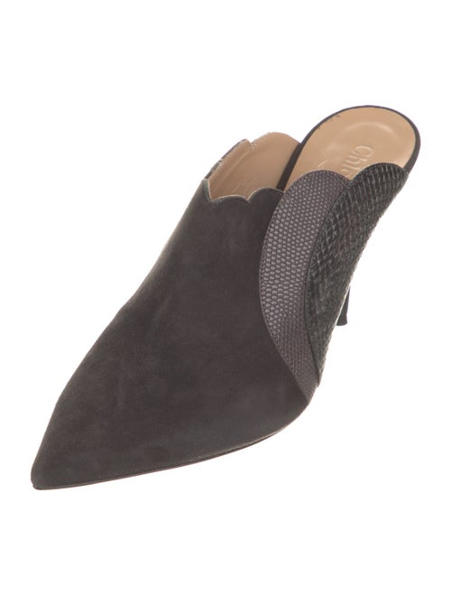 Chloé Suede Scalloped Accent Mules