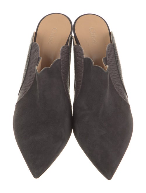 Chloé Suede Scalloped Accent Mules