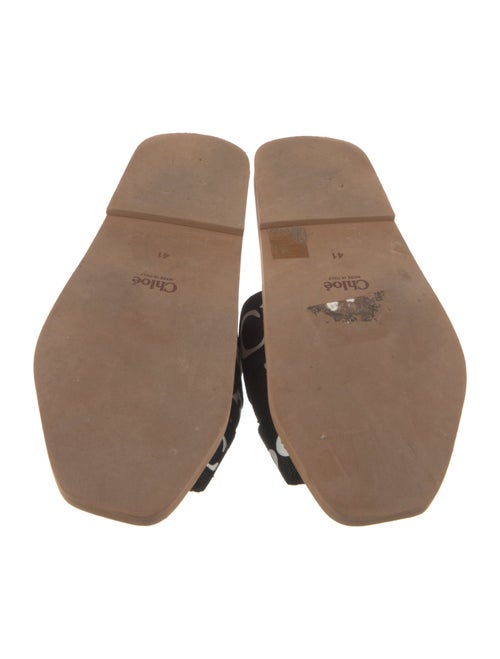 Chloé Printed Slides