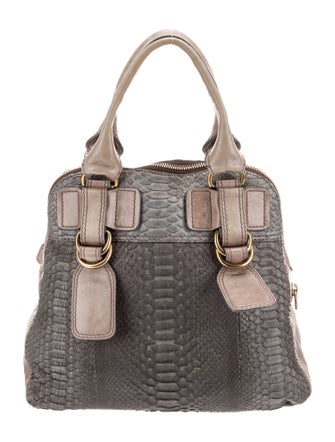 Chloé Python Top Handle Bag