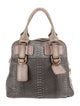 Chloé Python Top Handle Bag