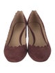 Chloé Suede Scalloped Accent Pumps