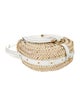 Chloé Raffia Marcie Crossbody Small