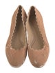 Chloé Velvet Scalloped Accent Ballet Flats