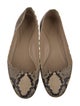 Chloé Leather Animal Print Ballet Flats
