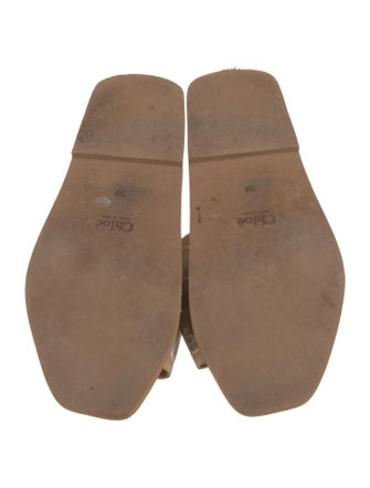 Chloé Printed Slides