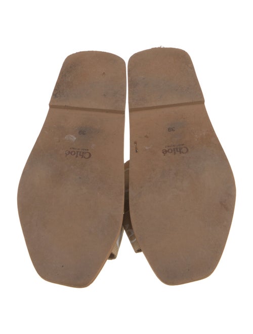 Chloé Printed Slides