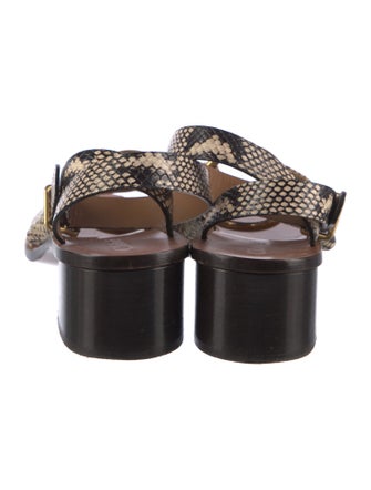 Chloé Leather Animal Print Sandals