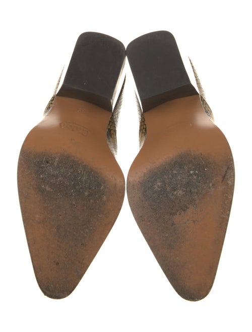 Chloé Snakeskin Animal Print Pumps