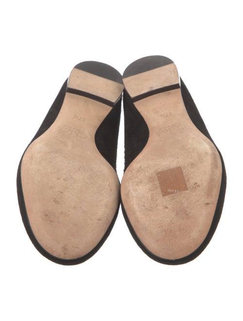 Chloé Suede Studded Accents Flats