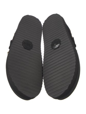 Chloé Suede Slides