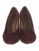 Chloé Velvet Pumps