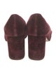 Chloé Velvet Pumps