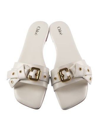 Chloé 2024-2025 Mae Slides