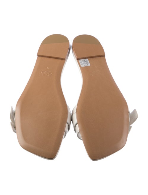 Chloé 2024-2025 Mae Slides