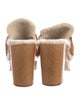 Chloé Suede Mules