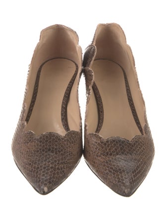 Chloé Embossed Leather Animal Print Pumps
