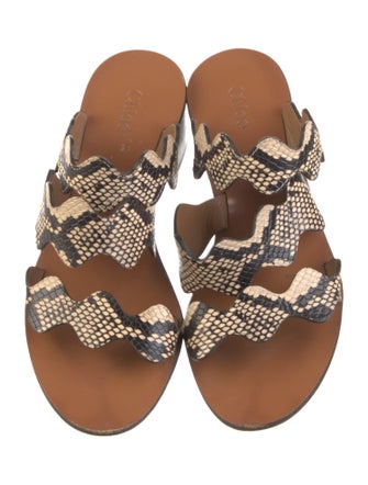 Chloé Leather Animal Print Slides