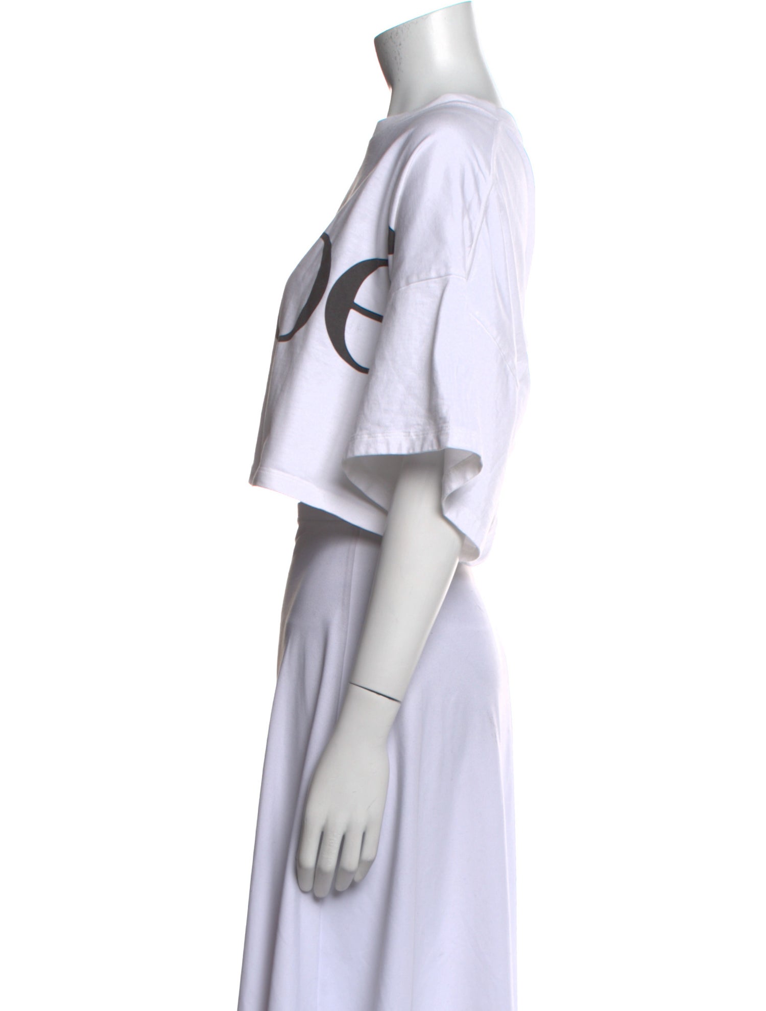 Chloé Graphic Print Crew Neck Crop Top