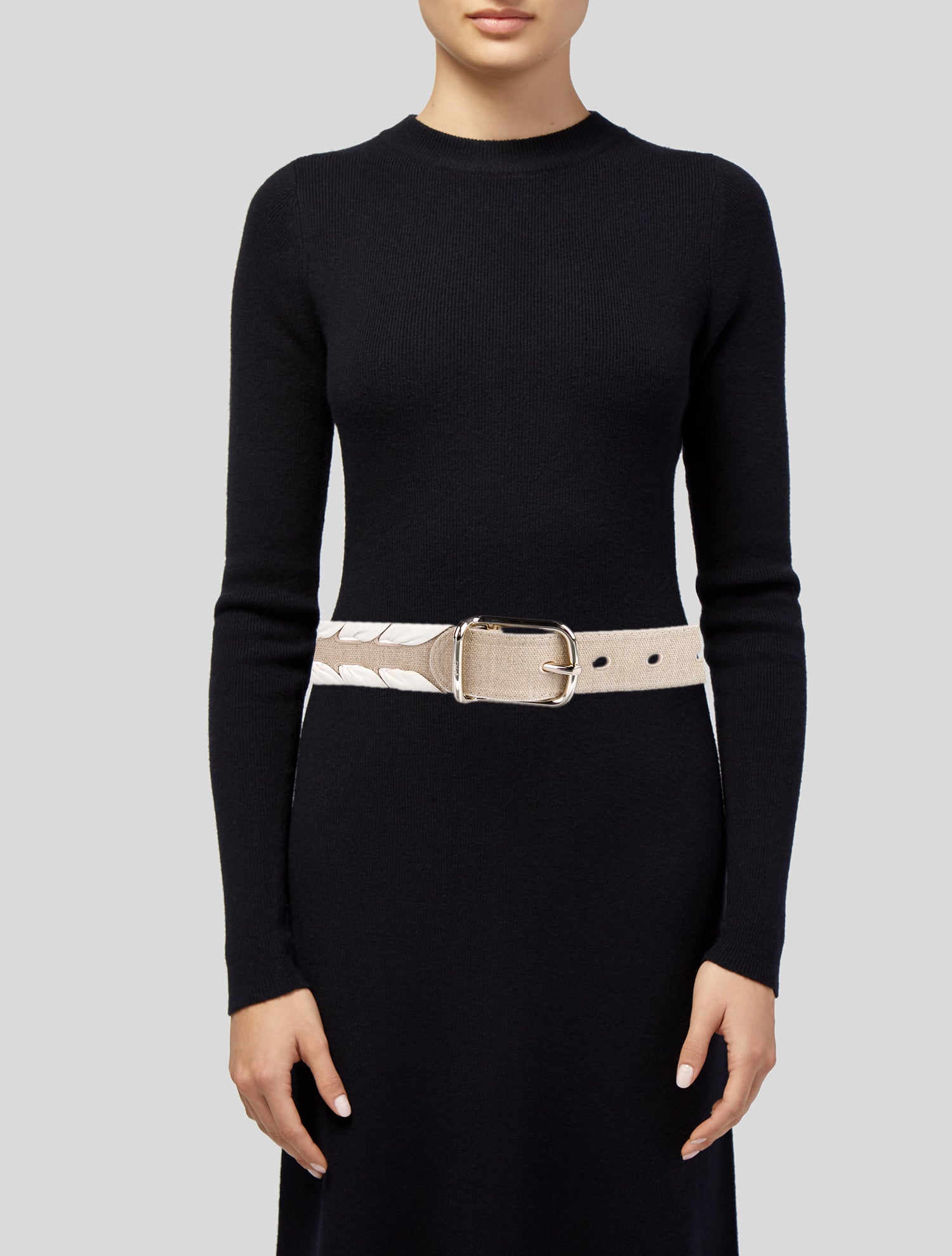 Chloé Canvas Belt