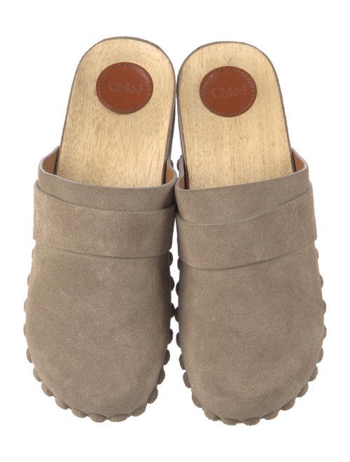 Chloé Suede Studded Accents Mules