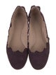 Chloé Suede Scalloped Accent Ballet Flats