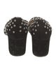 Chloé Suede Studded Accents Pumps