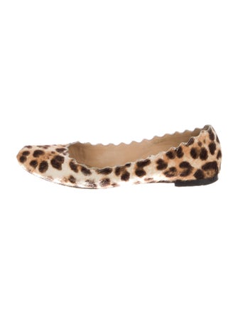 Chloé Ponyhair Animal Print Ballet Flats