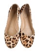 Chloé Ponyhair Animal Print Ballet Flats