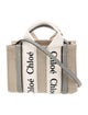 Chloé Canvas Top Handle Bag