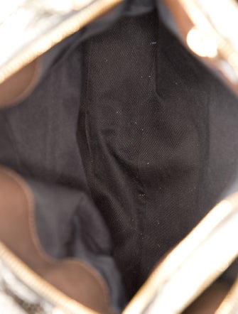 Chloé Snakeskin Cary