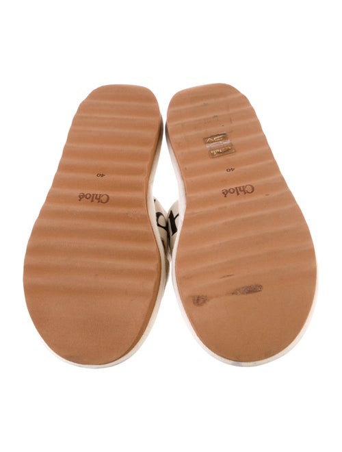 Chloé Leather Printed Mules