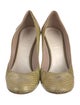 Chloé Snakeskin Animal Print Pumps