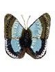 Chloé Fabric Butterfly Brooch