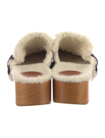 Chloé Suede Mules