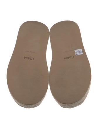 Chloé Canvas Embroidered Accent Espadrilles